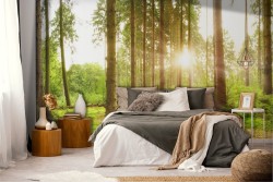 Carta da Parati Alba Tramonto Foreste e Alberi