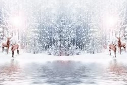 Carta da Parati Paesaggi e Natura Foreste e Alberi Montagna Neve