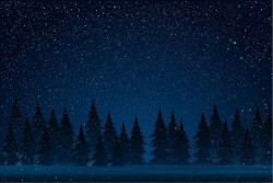 Carta da Parati Bambini Paesaggi e Natura Cielo Foreste e Alberi Paesaggi