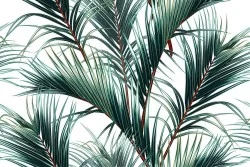 Wallpaper Design and Styles Flora and Fauna Tropical Leaves