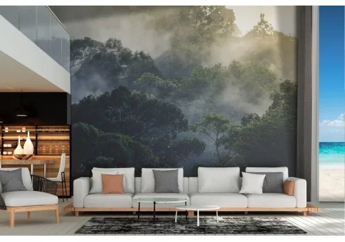 Carta da Parati foresta alberi paesaggio