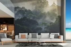 Carta da Parati foresta alberi paesaggio