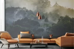 Carta da Parati foresta alberi paesaggio