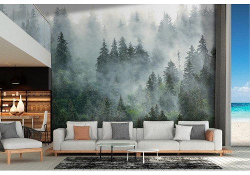 Wallpaper landscape forest nature photographic