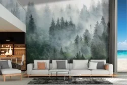 Carta da Parati paesaggio foresta bosco natura fotografica