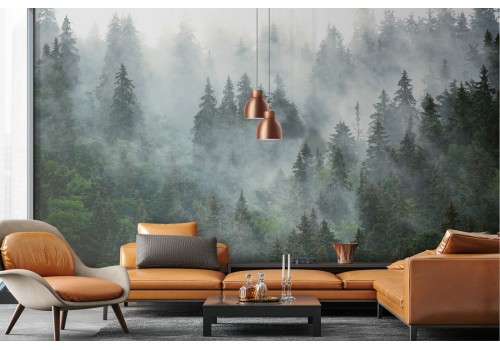 Wallpaper landscape forest nature photographic 2