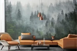 Wallpaper landscape forest nature photographic