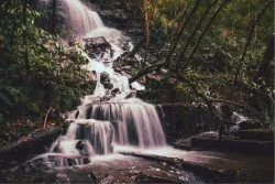 Wallpaper Landscapes and Nature Rivers Waterfalls Lakes Forests and Trees