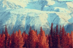 Carta da Parati Design e Stili Paesaggi e Natura Moderna Montagna Neve