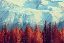 Carta da Parati Design e Stili Paesaggi e Natura Moderna Montagna Neve