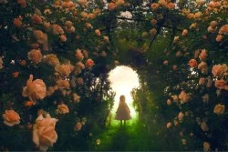 Carta da Parati Bambini Paesaggi e Natura Fantasy Foglie e Fiori Giardini