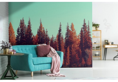 Wallpaper forest trees red autumn