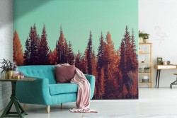 Carta da Parati bosco alberi rosso autunno