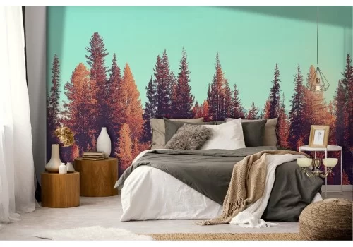 Carta da Parati bosco alberi rosso autunno 2