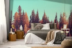 Wallpaper forest trees red autumn