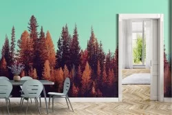 Carta da Parati Foreste e Alberi