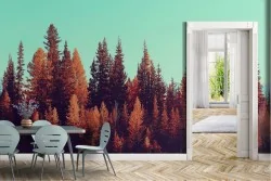 Wallpaper of Forests and Trees