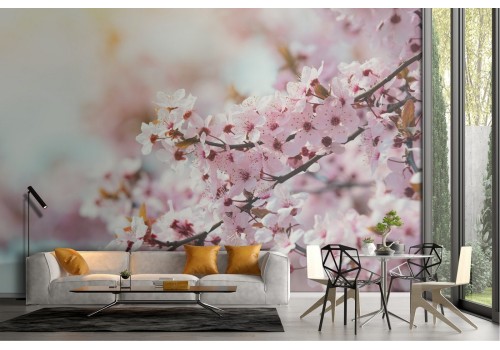 Peach tree flower photography wallpaper