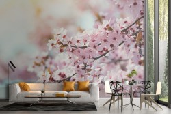 Carta da Parati fotografia albero fiore di pesco