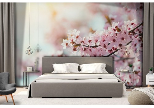 Peach tree flower photography wallpaper 2