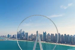 Carta da Parati Mappe Città Trasporti Città