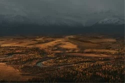 Carta da Parati Paesaggi e Natura Foreste e Alberi Montagna