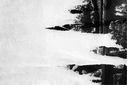 Carta da Parati Design e Stili Superfici e Texture Cemento Industrial Urban