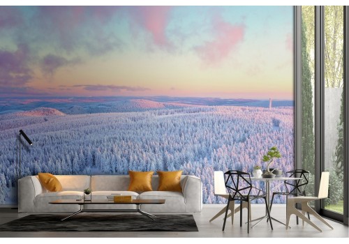 Snowy forest landscape nature trees wallpaper