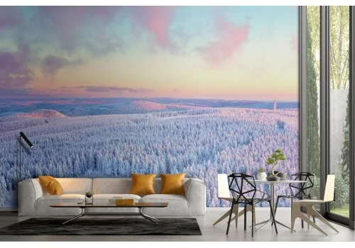 Snowy forest landscape nature trees wallpaper