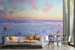 Snowy forest landscape nature trees wallpaper