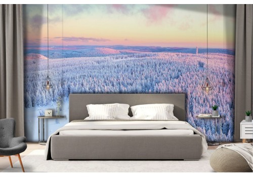 Snowy forest landscape nature trees wallpaper 2