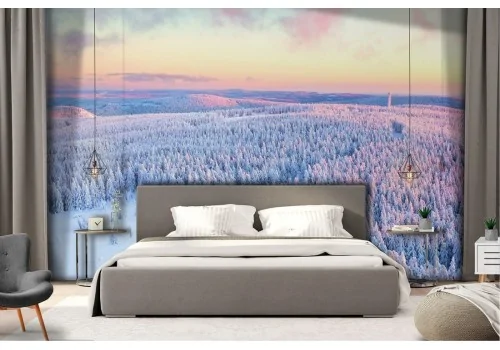 Snowy forest landscape nature trees wallpaper 2