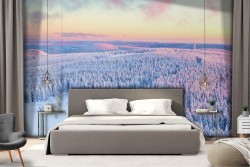 Snowy forest landscape nature trees wallpaper