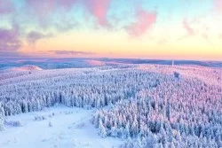 Carta da Parati Paesaggi e Natura Foreste e Alberi Neve