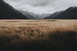 Carta da Parati Paesaggi e Natura Montagna Prati e colline