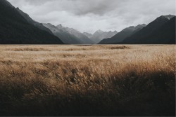 Wallpaper Landscapes and Nature Mountain Meadows and Hills