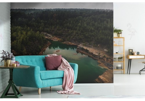 Forest wallpaper with lake landscape photograph