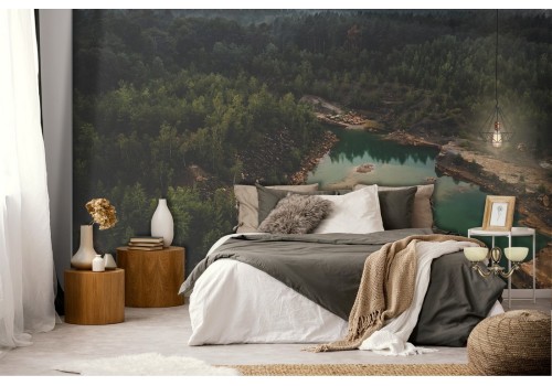 Forest wallpaper with lake landscape photograph 2