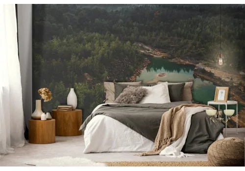 Forest wallpaper with lake landscape photograph 2