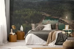 Carta da Parati bosco con lago paesaggio fotografico