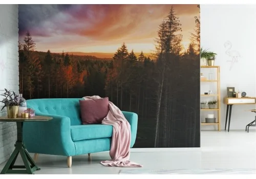 Wallpaper landscape forest woods nature