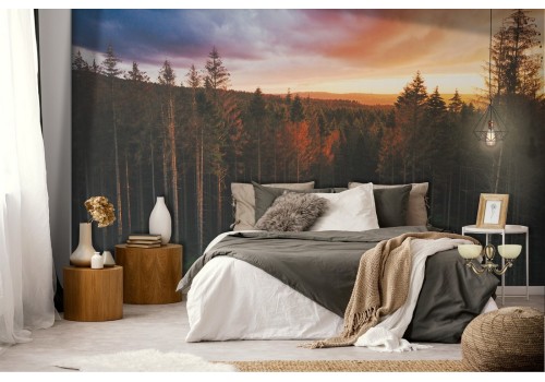 Wallpaper landscape forest nature woods 2