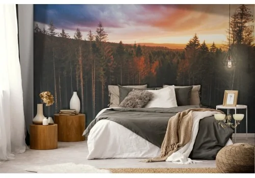 Wallpaper landscape forest nature woods 2