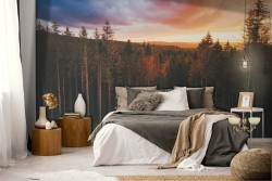 Wallpaper landscape forest nature woods