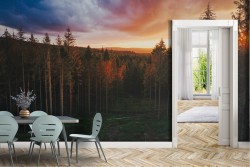 Wallpaper Forests and Trees Trees