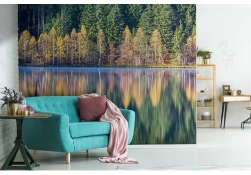 Carta da Parati lago nel bosco paesaggio alberi