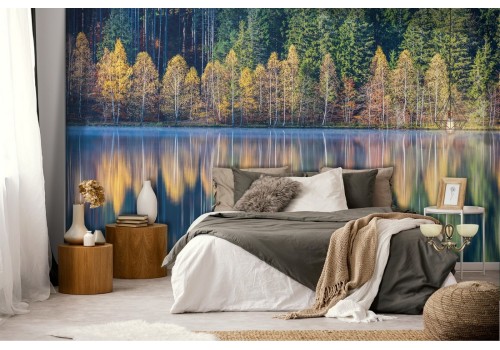 Wallpaper lake in the forest landscape trees 2