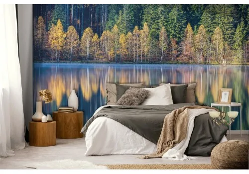 Wallpaper lake in the forest landscape trees 2