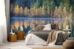 Carta da Parati lago nel bosco paesaggio alberi