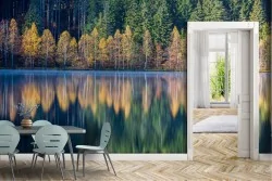 Wallpaper Trees Rivers Waterfalls Lakes